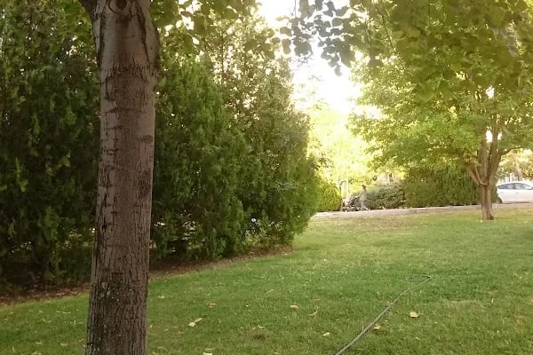100.Yıl Parkı - Resim 3