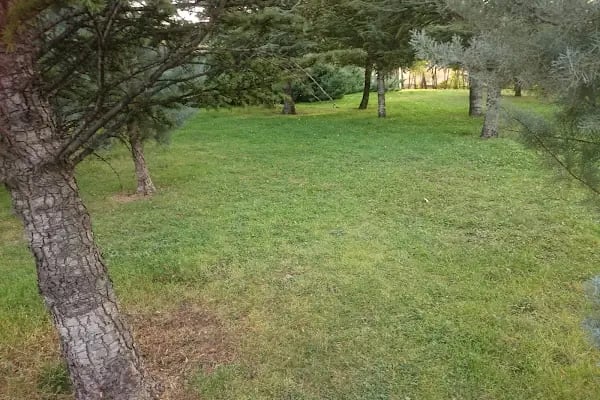 100.Yıl Parkı - Resim 18