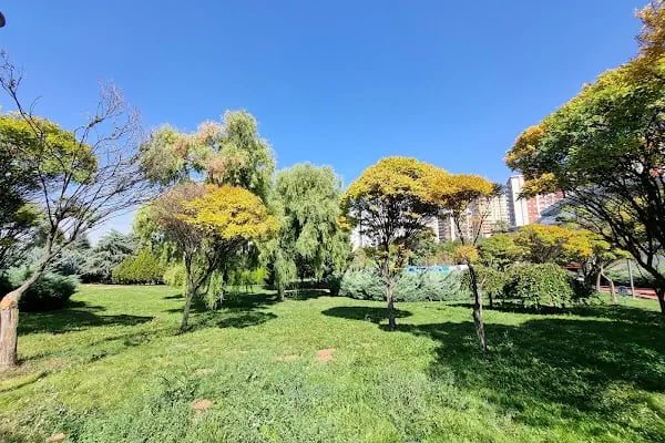 100.Yıl Parkı - Resim 12