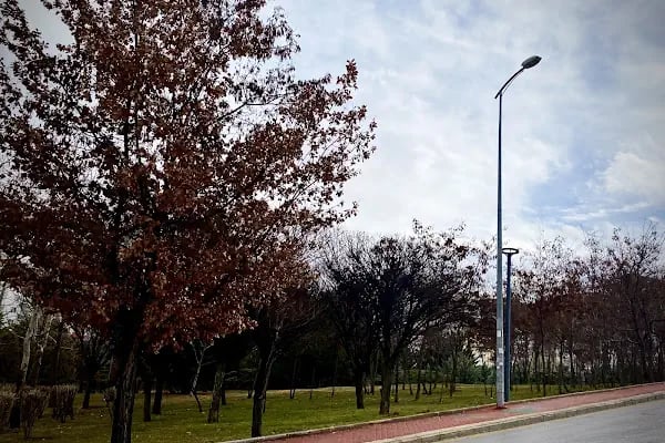 100.Yıl Parkı - Resim 10