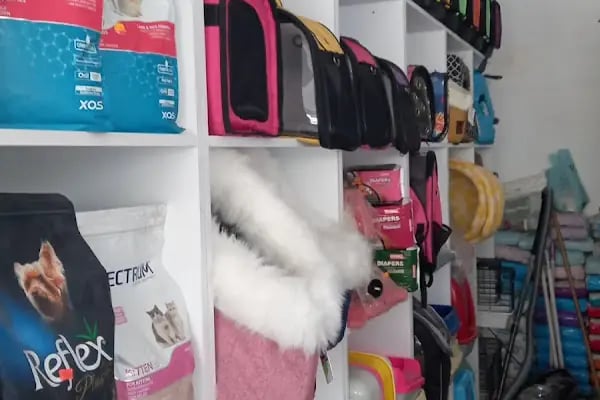 Ankara Mamak Petshop – Azim Petshop - Resim 9