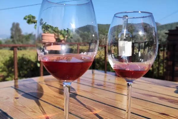 Garova Vineyards - Resim 10