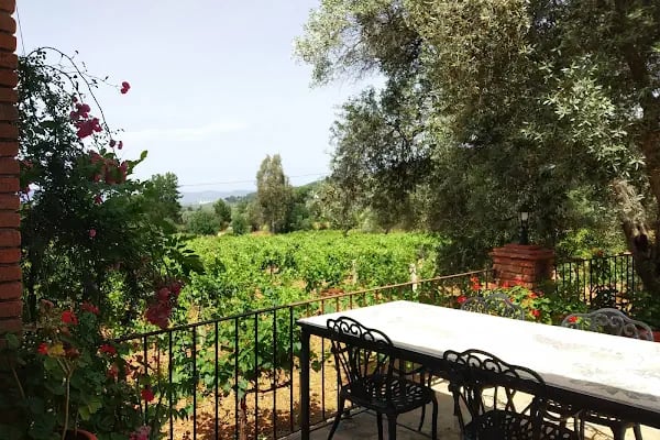 Garova Vineyards - Resim 19