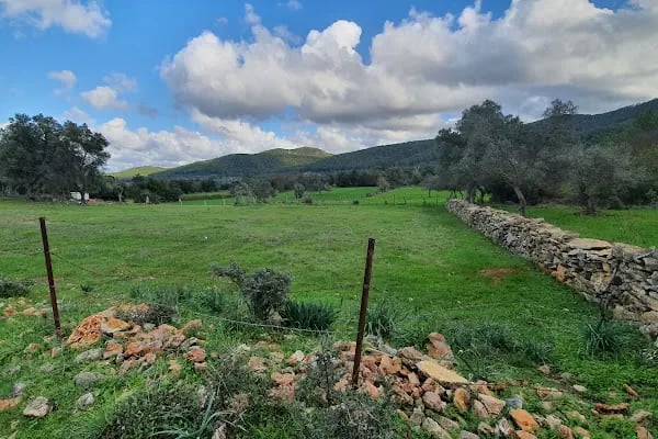 Garova Vineyards - Resim 12