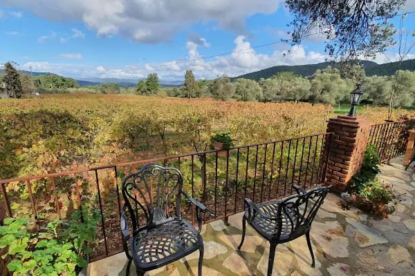 Garova Vineyards - Resim 7