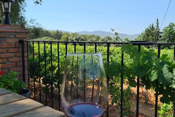Garova Vineyards - Resim 4
