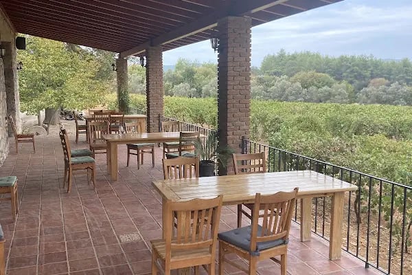 Garova Vineyards - Resim 11