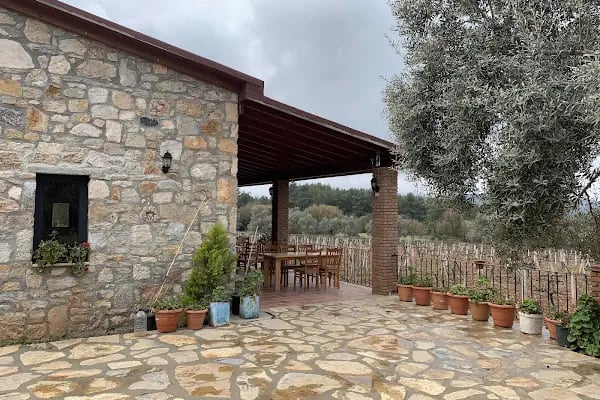 Garova Vineyards - Resim 6