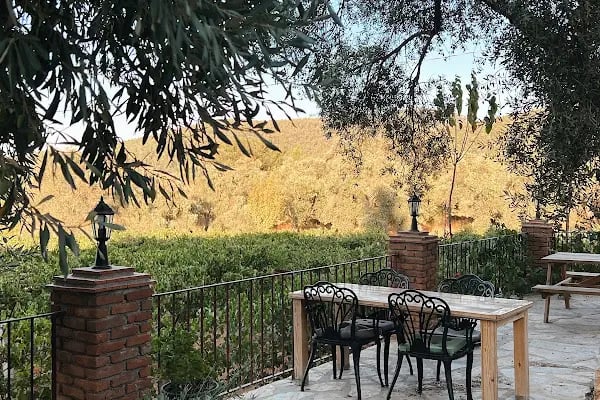 Garova Vineyards - Resim 18