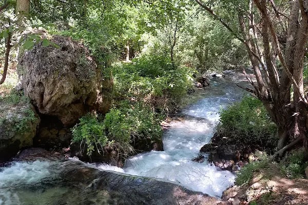 günpınar şelalesi tabiat parkı - Resim 11