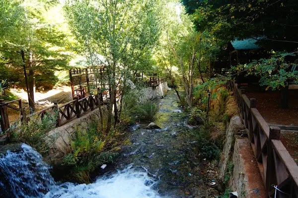 günpınar şelalesi tabiat parkı - Resim 14