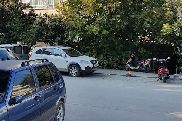 Alanya İlçe Göç İdaresi Müdürlüğü - Resim 16