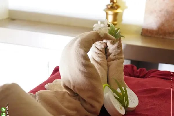 Holiday Inn Lidya SPA Gaziantep - Resim 6