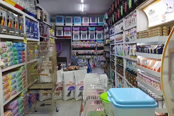 Tropikal Pet Shop ALO MAMA HATTI. - Resim 8