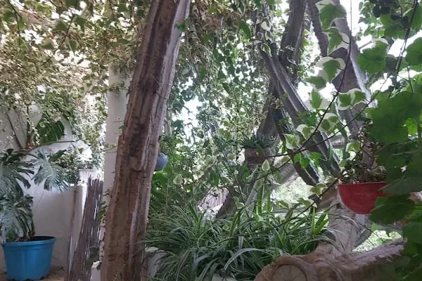 Kadıköy Kahvaltı ve Meyhane Bitez - Resim 19