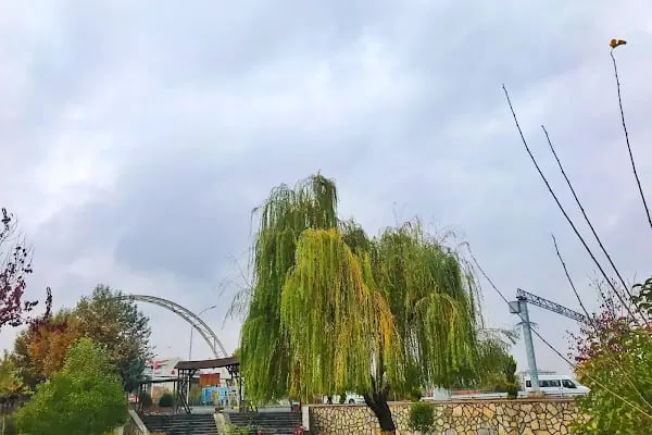 Ayşe Şan Parkı - Resim 8