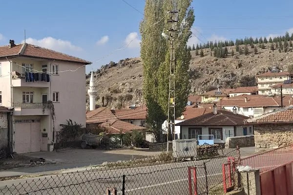 Yukarı Peçenek İlkokulu - Resim 2