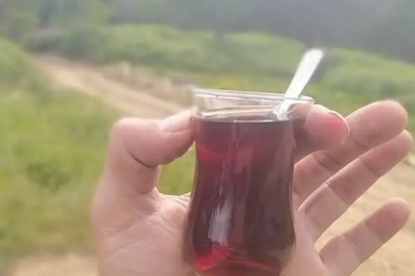 Paşa çayırı inegöl - Resim 13
