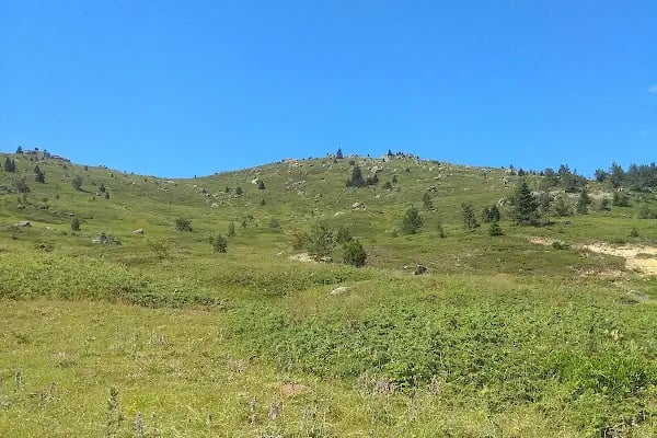 Paşa çayırı inegöl - Resim 19