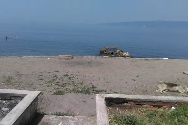SHELL YILDIZ EKİN PETROL-KURŞUNLU SHELL - Resim 20