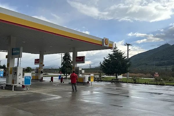 SHELL YILDIZ EKİN PETROL-KURŞUNLU SHELL - Resim 2