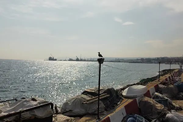Tekirdağ Liman - Resim 19