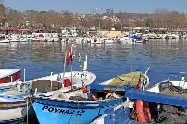 Tekirdağ Liman - Resim 12