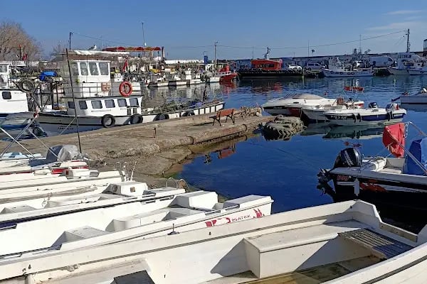 Tekirdağ Liman - Resim 20