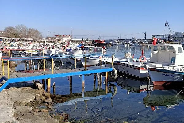Tekirdağ Liman - Resim 16