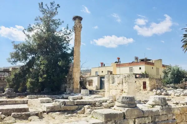 Roma Tapınağı Müzesi - Resim 1