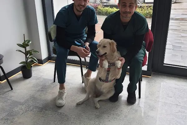 Ataşehir Barbaros Veteriner Kliniği -Ataşehir 7/24 Acil Veteriner-Acil Veteriner - Resim 11