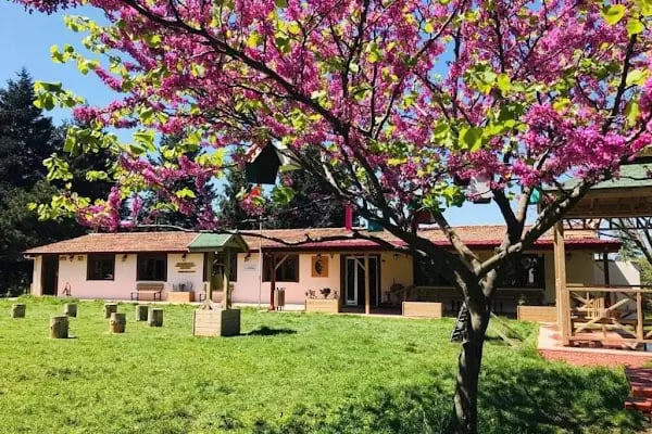 Toprak Ana Köy Yaşam Merkezi - Resim 3