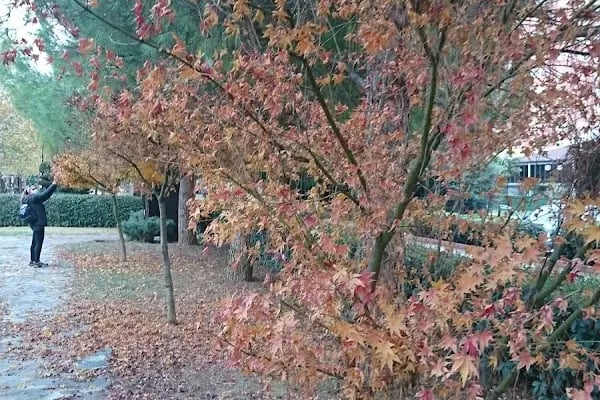 Özhan Marketler Zinciri - SaygınKent - Resim 8