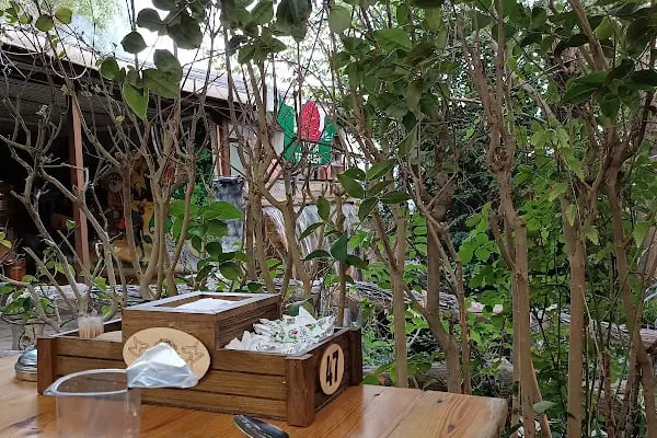Nossa Cafe & Brasserie Avlu34 - Resim 13