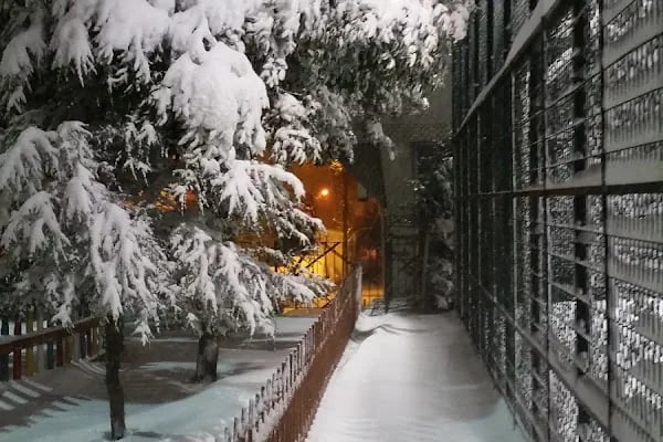 Yenigün Parkı - Resim 10