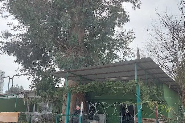 Zilli Baba Türbesi - Resim 6