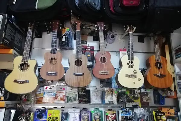 Solfej Müzik Sanat Merkezi Müzik Market - Resim 4