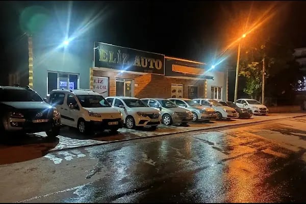 Eliz Auto - Resim 2
