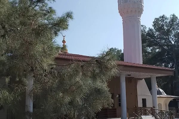 Antalya Alaaddin Keykubat Gençlik Kampı - Resim 5