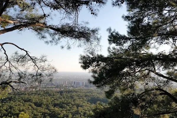 Antalya Alaaddin Keykubat Gençlik Kampı - Resim 16