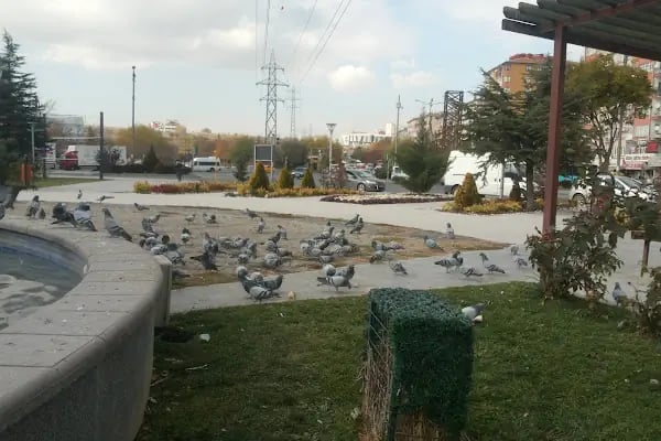 Dünya Çocukları Barış Parkı - Resim 11