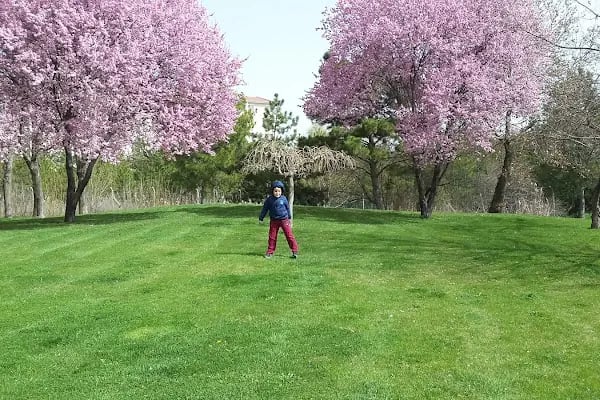 HAB Ankara Uzay ve Havacılık İhtisas Organize Sanayi Bölgesi - Resim 15
