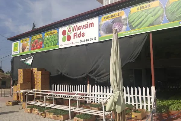 4 Mevsim Fide - Resim 3