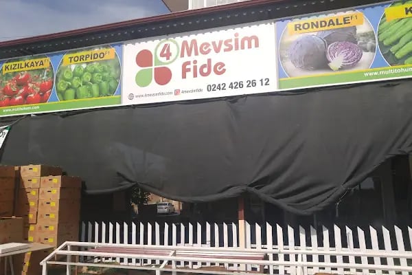 4 Mevsim Fide - Resim 7