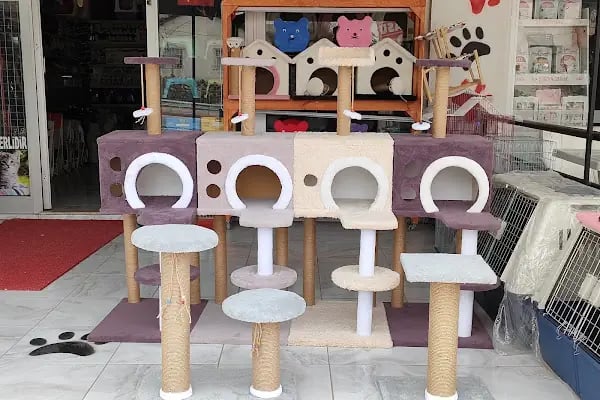 Atasu Pet Shop - Resim 4