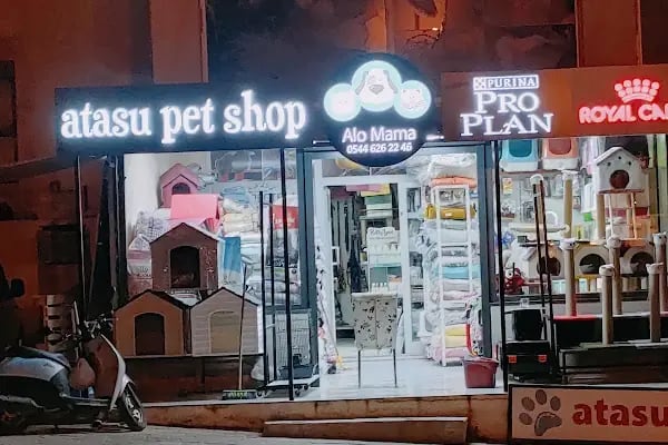 Atasu Pet Shop - Resim 2