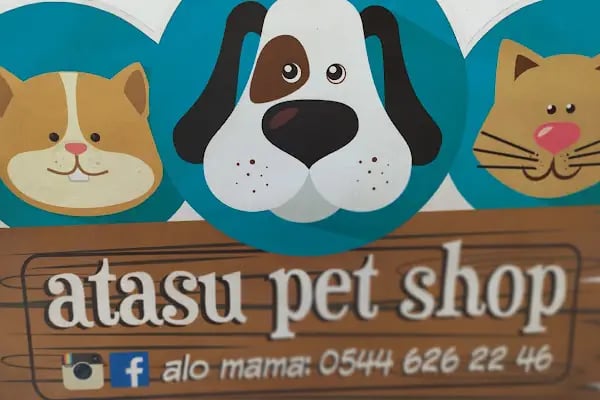 Atasu Pet Shop - Resim 3
