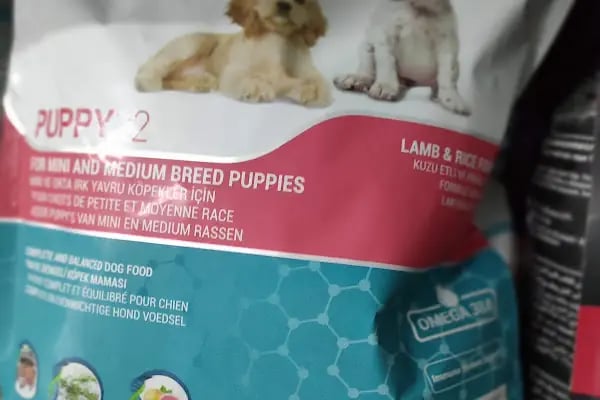 Atasu Pet Shop - Resim 15