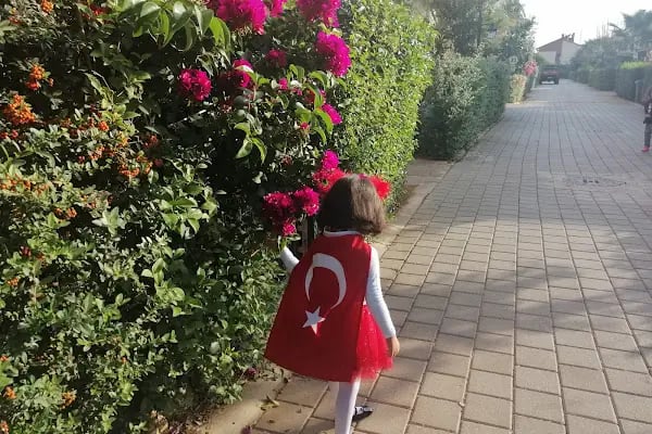 Vali Konaklari Pal City Etap 1 - Resim 20