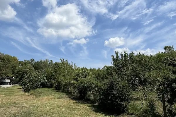 Gölbaşı Aile Piknik ve Kamp Alanı - Resim 2